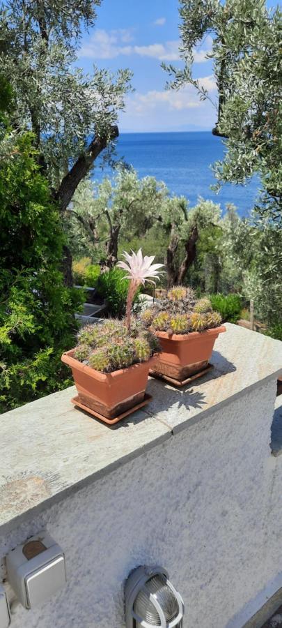 Villa Imelda Afissos Exterior photo
