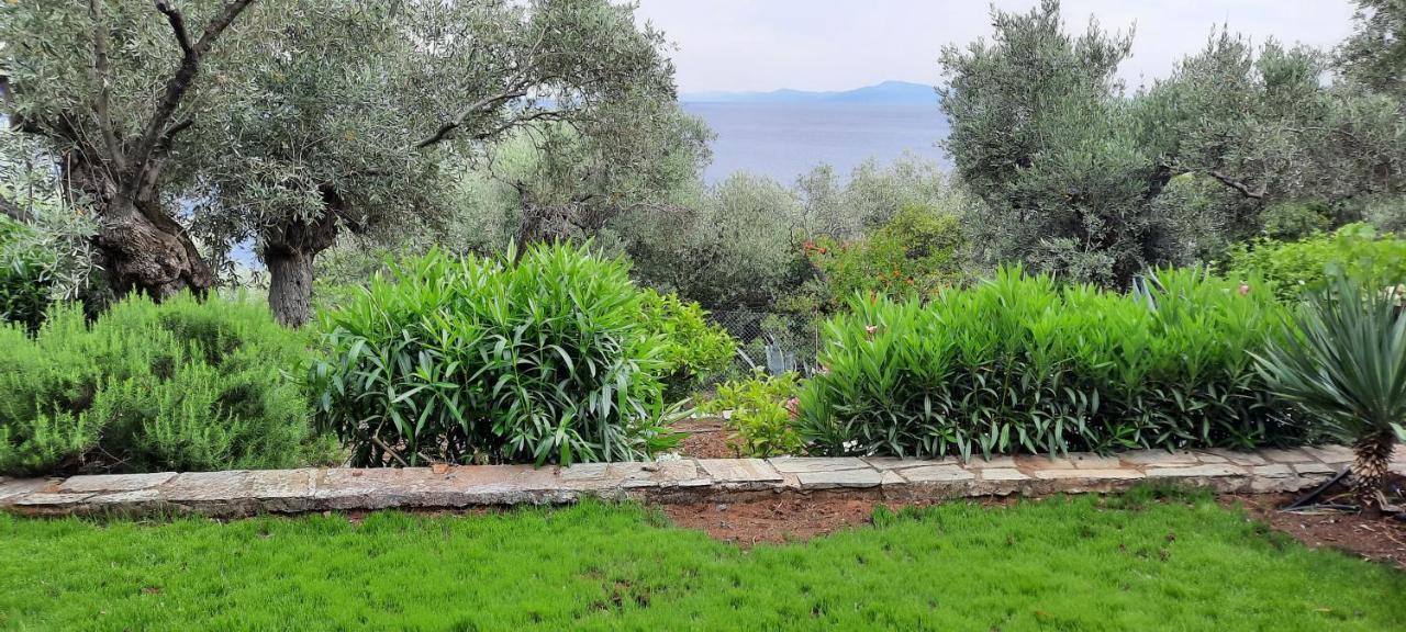Villa Imelda Afissos Exterior photo
