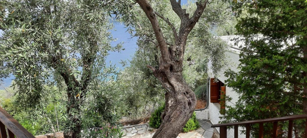 Villa Imelda Afissos Exterior photo